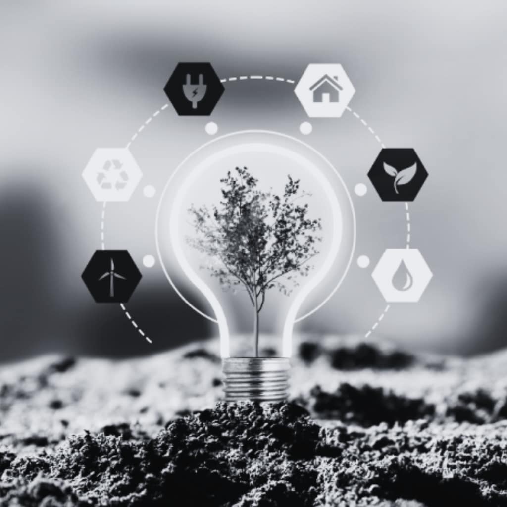 Sustainability Knowledge Hub