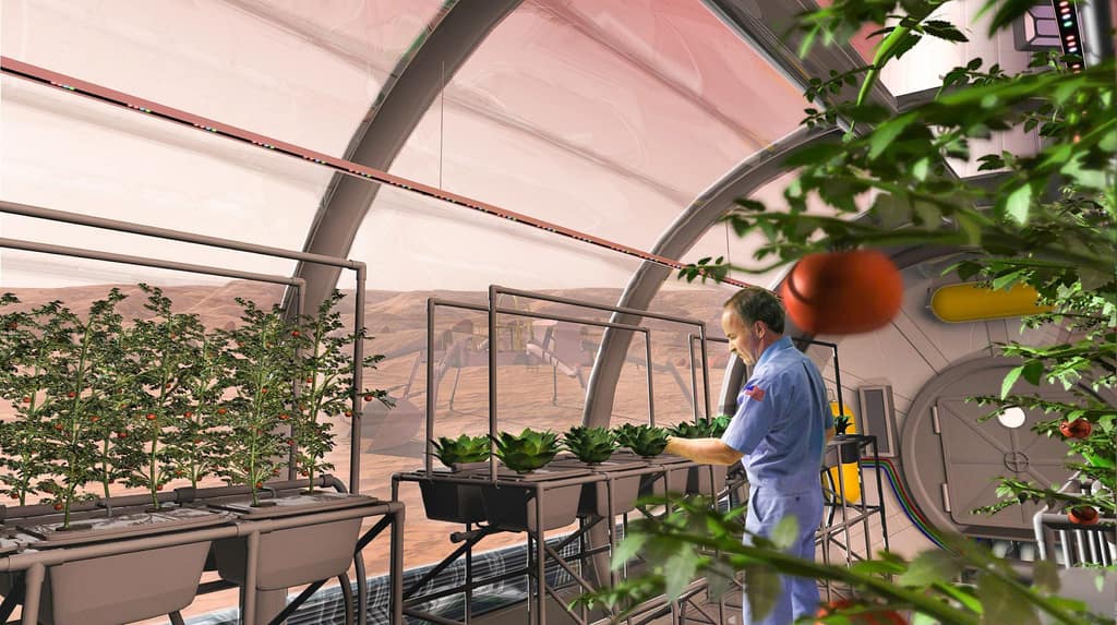 IFST lecture in a glasshouse